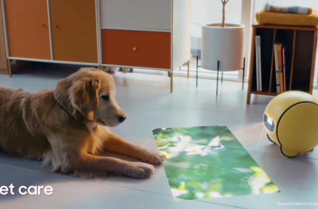 A screenshot from Samsung's video introduction of Ballie, with the yellow robot ball on the right projecting an image of green leaves onto the floor. Across from it sits a golden retriever looking intently at the leaves.