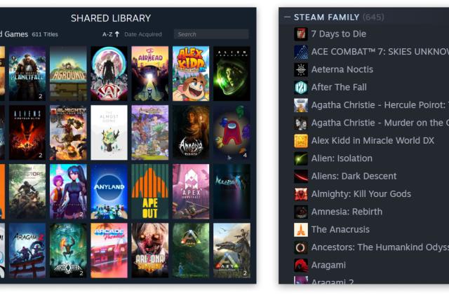A sample of the Steam Family shared library