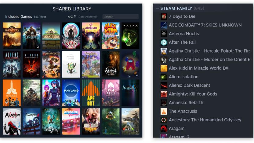 A sample of the Steam Family shared library