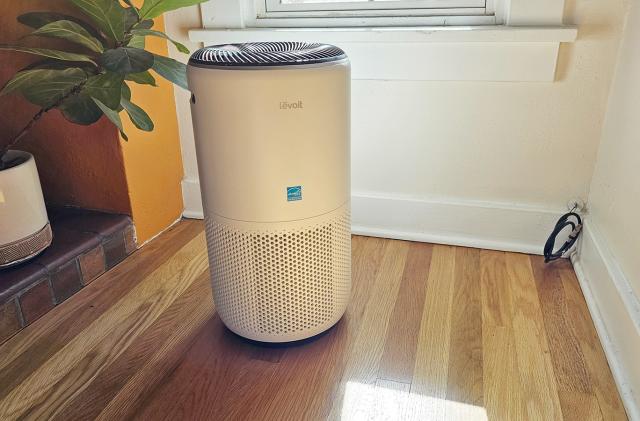 The Levoit Core 400S Air Purifier sits near a sunlit window. There's a houseplant in the background that wishes it were closer to the sun. 