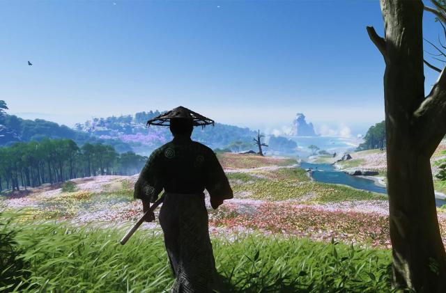 A figure wearing a straw hat is shown from behind as they gaze out at a colorful landscape of flowers, trees and mountains.