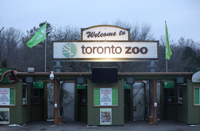 TORONTO, ON- JANUARY 12  -    The Toronto Zoo, shut down because of the rise in COVID-19 cases holds a vaccine clinic at the Special Events Centre on the property  at  in Toronto. January 12, 2022. Appointments are available as well as walk-ins        (Steve Russell/Toronto Star via Getty Images)
