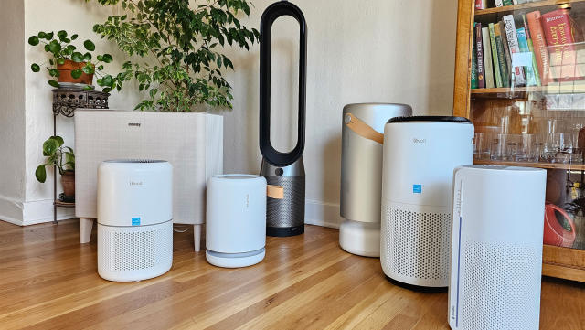 Air purifiers from Levoit, Molekule, Coway, Dyson and more sit on a wooden floor in a room with plants in it. 